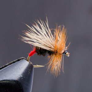 caddis variant