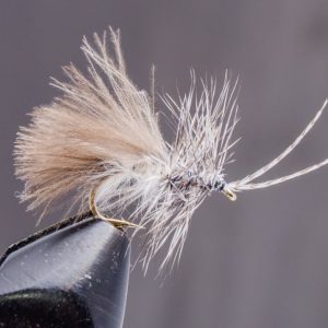 Chikabou caddis Gray