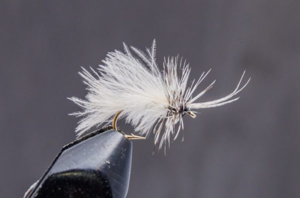 Chikabou caddis light gray