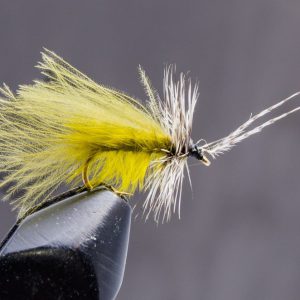 Chikabou caddis Olive