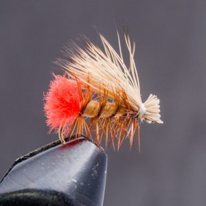 hot butt caddis