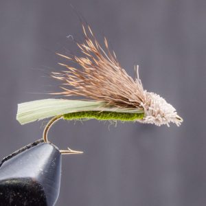 Letort hopper Olive