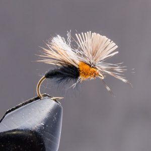 missing link caddis