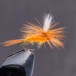 Rusty mayfly