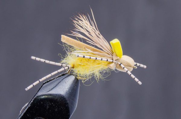 floating stonefly