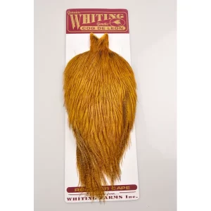 Coq de Leon Whiting