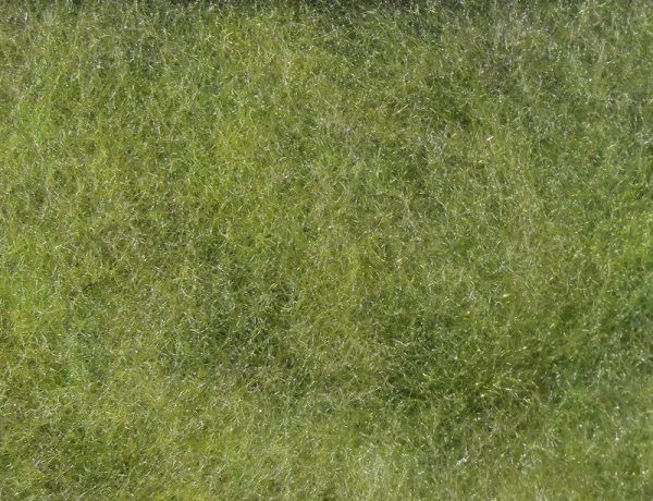 Hareline super fine dry fly dub variedades - Imagen 6