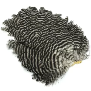 Hen saddle hareline variedades