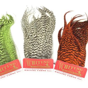Whiting bugger pack variedades