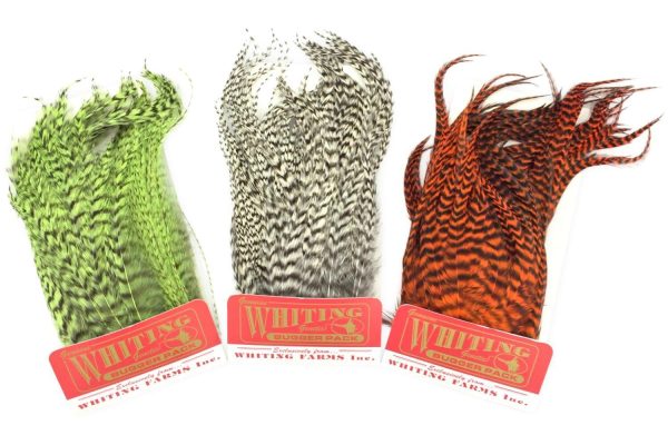 Whiting bugger pack variedades